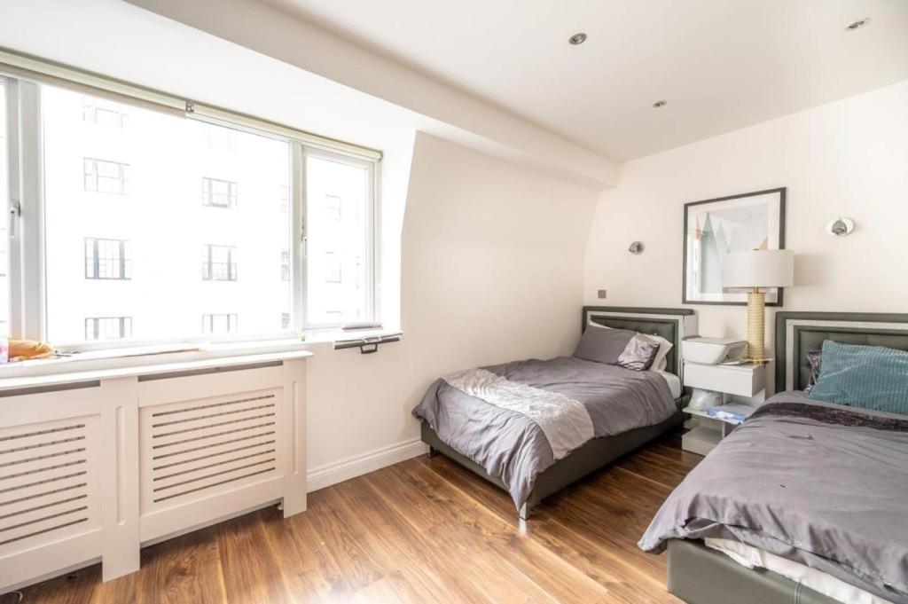 Stanhope Terrace Daire Londra Dış mekan fotoğraf